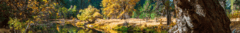 Banner da categoria Produtos
