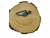 Broche Guarda-Chuva - Esmaltado com Pedraria - Kit 10 unidades - comprar online