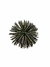 Aplique Costura - Pompom Micro Pedrarira - Kit 6 unidades - comprar online