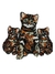 Aplique Costura - Gatos em Paetê - Kit 5 unidades - comprar online