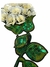 Aplique de Costura - Flor em Paetê -Kit 6 unidades - loja online