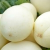 MELON BLANCO KG