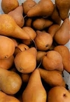 PERA BOSC
