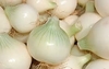 CEBOLLA KG