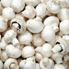CHAMPIÑON 1/4