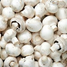 CHAMPIÑON 1/4
