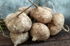 JICAMA KG