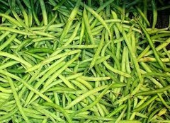 EJOTE KG