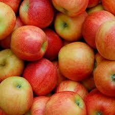 MANZANA GALA KG
