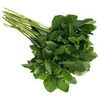 HIERBABUENA MANOJO 100g