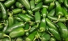 CHLE JALAPEÑO