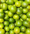 LIMON S/S KG