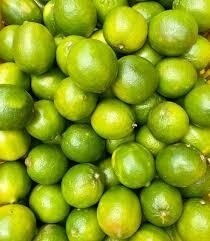LIMON S/S KG