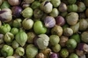 TOMATILLO KG