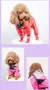 Impermeable con cara para perros - AllDog