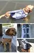 Chaleco salvavidas para perros