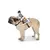Disfraz para perro ¡Todo un personaje! en internet