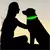 Collar con luz LED brillante para perro pequeño