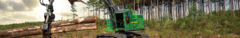 Banner de la categoría FORESTAL