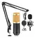 KIT MICROFONO PROFESIONAL EC100110