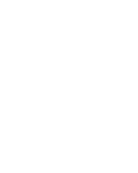 Blotti
