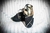 Zapatos Cruzados - comprar online