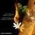 1 Million Parfum Paco Rabanne Eau de Parfum - LA FRAGRANCE