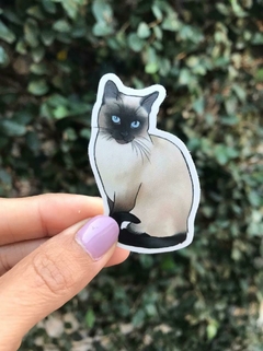 Gatito 1
