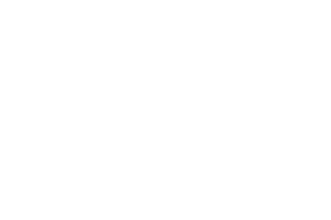 EL bokeh de alex