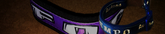Banner de la categoría Collares