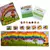 Al final del Arco Iris - comprar online