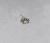 Dije huellita plata 925