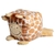 Mini Girafa Safari - Adoleta - comprar online