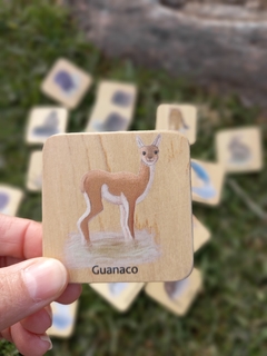 Juego de memoria en madera - Mamíferos - Huellas Fueguinas