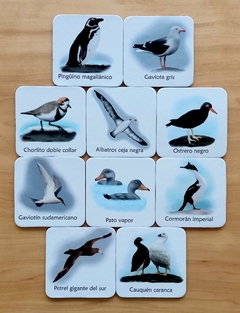Juego de memoria en cartón - Aves de Costa y Mar