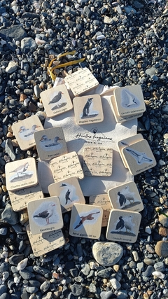 Juego de memoria en madera - Aves de Costa y Mar