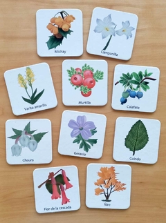 Juego de memoria en cartón - Flora Fueguina A en internet