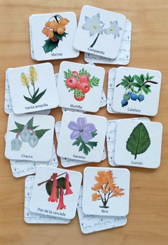 Juego de memoria en cartón - Flora Fueguina A - Huellas Fueguinas