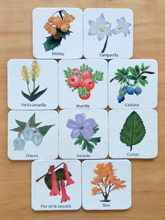 Juego de memoria en cartón - Flora Fueguina A
