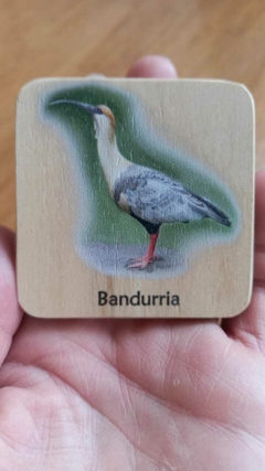 Juego de memoria en madera - Aves de Agua Dulce y Claros - comprar online