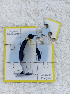 Rompecabezas de 9 piezas en MDF - Pingüino Emperador - comprar online