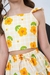 Conjunto Babi na internet