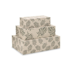 KIT CAIXAS BEGE COM FOLHAS - MART - 3 PCS