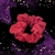 Colitas scrunchies