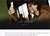 Huawei-FreeLace Pro 2 Fones De Ouvido Bluetooth, Fones De Ouvido Inteligentes, C