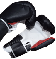 guante de box eco