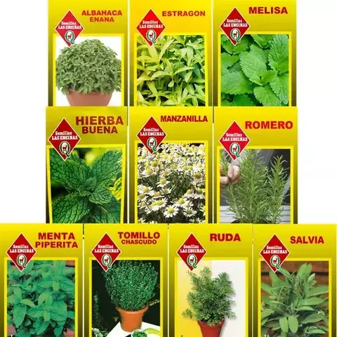 PACK SOBRES DE SEMILLAS DE HIERBAS