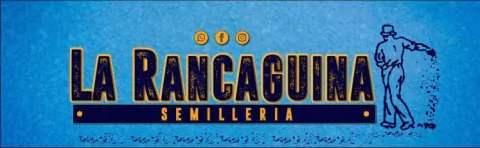 Semilleria La Rancaguina