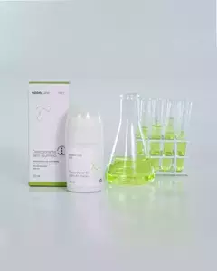 DESODORANTE SEM ALUMÍNIO 50ML na internet