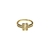 Anillo Sam